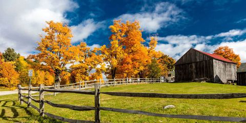 Barn_Fall