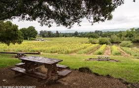 Almaden Winery Park