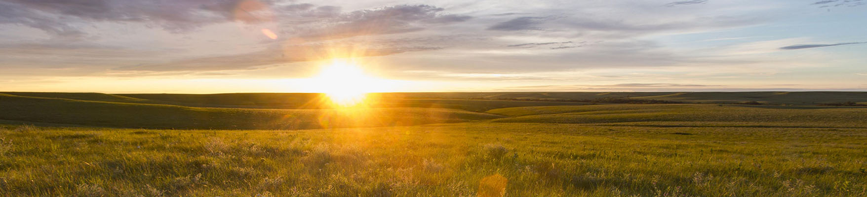 Kansa Tallgrass Prairie